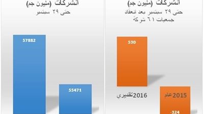 530 مليون جنيه أرباح قطاع الأعمال العام خلال 2015-2016