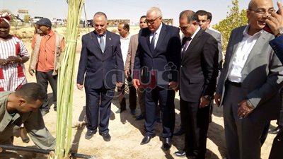 بالصور.. وزير الزراعة يغرس شجرة نخيل بالوادي الجديد
