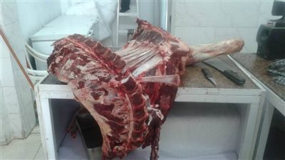 الطب البيطري: حملة تفتيش على محال الجزارة واللحوم بالعريش | صور