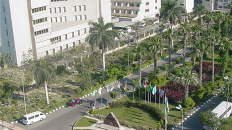 جامعة المنصورة