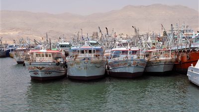 إقبال على «طاولة السمك» في السويس بعد ارتفاع أسعار اللحوم