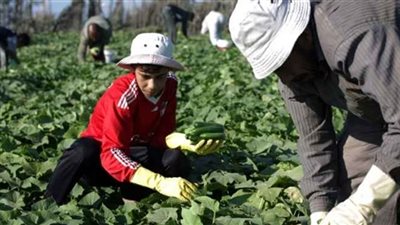 سفير مصر بأبوجا: مستعدون لتقديم الخبرة إلى نيجيريا في المجالات كافة