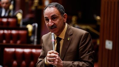 «تقصى حقائق البرلمان»: هروب 3 متهمين في قضية فساد القمح للخارج