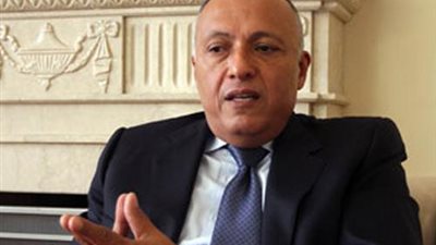 وزير الخارجية: الحرب الدولية على «داعش» طويلة الأمد