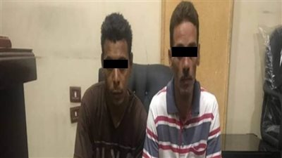 ضبط تشكيل عصابي للاتجار في الإستروكس بالغربية