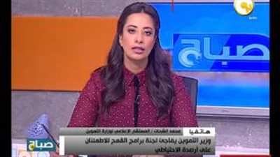 بالفيديو.. «التموين »: الوزير اطمأن على احتياطي القمح