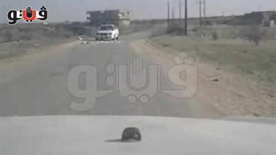 بالفيديو.. التكفيريون يسيطرون على 