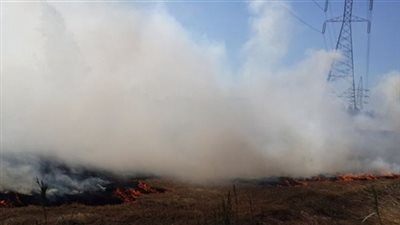 1896 محضر سحابة سوداء في الغربية وكفر الشيخ