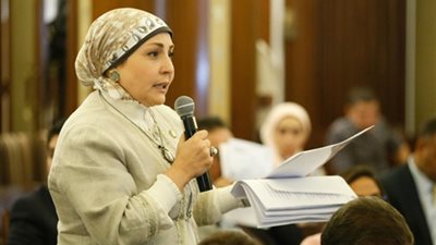 نائبة تطالب «القومي للمرأة» بالتعاون مع البرلمان لدراسة تقرير الإحصاء