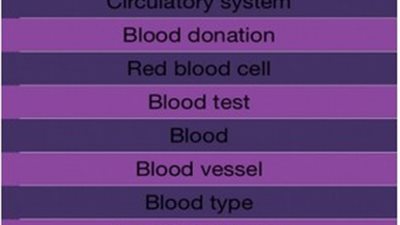 احصل على المصطلحات الطبية الجديدة مع 