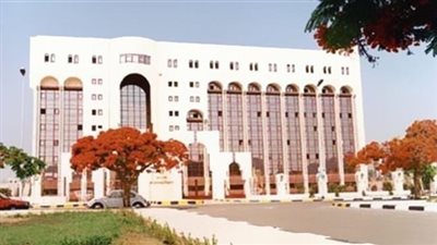 «الاستعلامات»: طاقم الجزيرة المقبوض عليه ليس مُعتمدًا من الهيئة