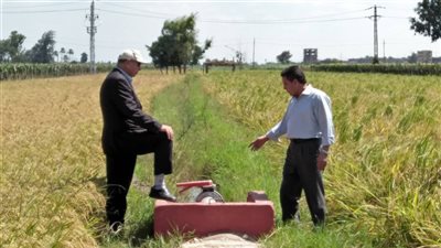 وزراء «الزراعة والري والاستثمار» يزورون محافظة البحيرة.. غدا