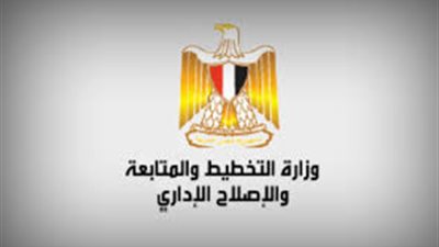 «التخطيط»: الانتهاء من ميكنة تسجيل المواليد والوفيات بالصحة العام المقبل