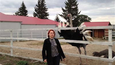 «ستريت جورنال»: أوكرانيا تنافس أمريكا في تصدير القمح إلى مصر