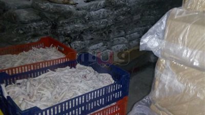 مصادرة 6 أطنان أرجل دواجن فاسدة قبل تصديرها للصين (صور)