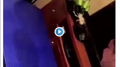 هدية حليمة بولند تثير غضب نساء السعودية (فيديو)