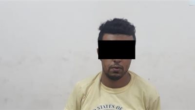 ضبط عاطل سرق شقة موظف ببنك الإمارات دبي في النزهة