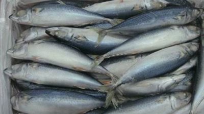 «ماكريل مجمد» يسجل 15 جنيهًا بسوق العبور.. اليوم