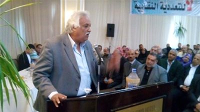 محمد سالم: الحشد في الاستفتاء يقطع الطريق على الإرهاب