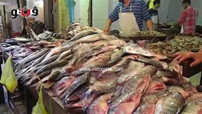 أسعار الأسماك في أسواق حدائق المعادي (فيديو)