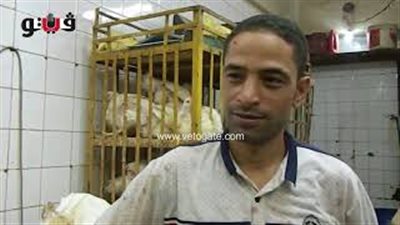 الدواجن البيضاء تسجل 27 جنيها في الأسواق.. فيديو