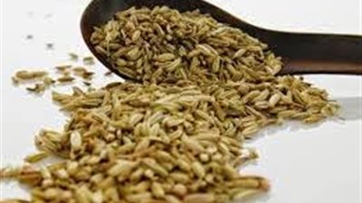 الكمون صيدلية طبية لأمراض للكبد والجهاز الهضمي ومحفز للرشاقة