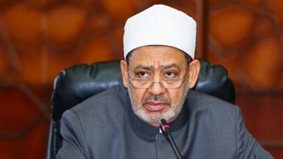 شيخ الأزهر يعود إلى القاهرة بعد جولة ناجحة بالبحرين وسويسرا