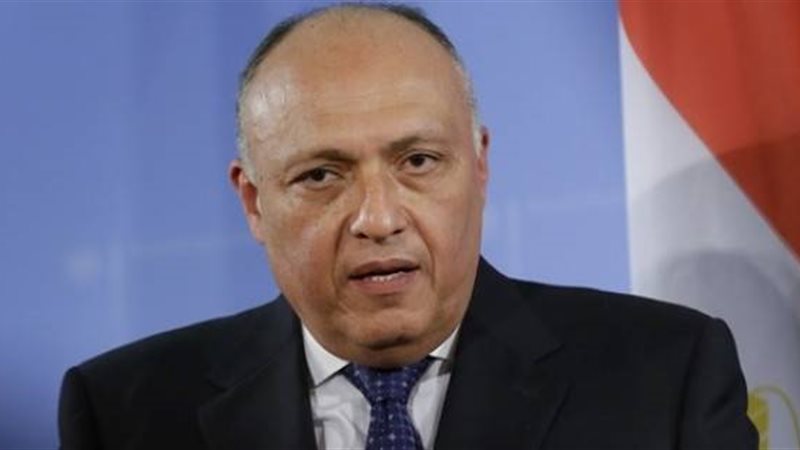 سامح شكري