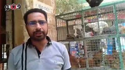 بالفيديو.. الدجاج الأبيض يسجل 23 جنيها بالأسواق اليوم