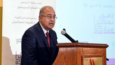 شريف إسماعيل: تشكيل لجنة لبحث تقرير التعداد السكاني