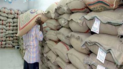 خبير تمويني يكشف الأخطاء في تسويق الأرز الشعير لصالح الوزارة