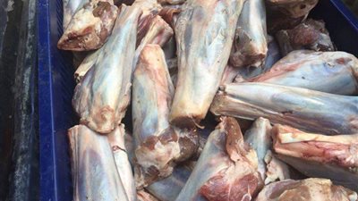 ضبط كمية من اللحوم المستوردة تباع على أنها «بلدي» ببورسعيد