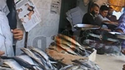 بالفيديو.. الرنجة تكتسح الفسيخ فى سوق طنطا.. الزبائن طوابير على «أبو عمة حمرا».. بائعة الخس والبصل تضحك وتقول: أنا لاقية أكل عشان اشترى الملوحة يا ابنى!