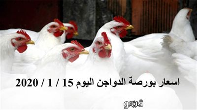 اسعار بورصة الدواجن اليوم 15 / 1 / 2020