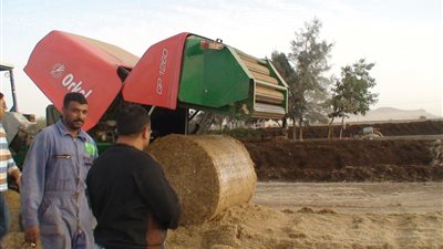 «زراعة الدقهلية» تجميع 54 ألف طن من قش الأرز
