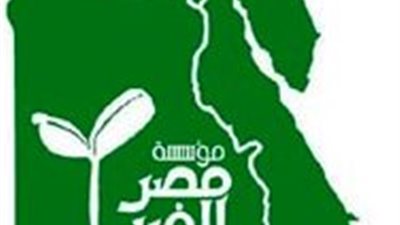 «مصر الخير»: «المالية» عطلت الإفراج عن «بطاطين وملابس شتوية» بمطار القاهرة