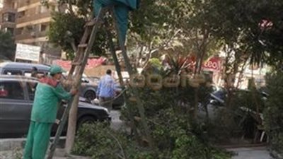 بالصور.. حملة لتقليم الأشجار بحي شرق مدينة نصر