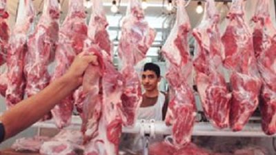 الدواجن «البيضاء» تسجل 17.5 جنيهًا في الغربية