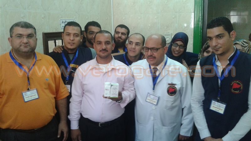 فيتو