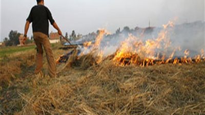 1991 محضر سحابة سوداء وتجميع 24 ألف طن قش بالغربية وكفر الشيخ