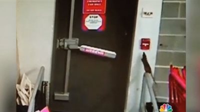 فأر يضغط على إنذار الحريق ويتسبب في إخلاء مبنى بواشنطن (فيديو)