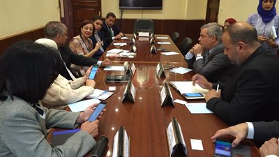 «الهجرة» تبدأ اجتماعات إنشاء قاعدة بيانات للمصريين بالخارج