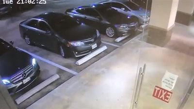 لص يفشل في سرقة امرأة (فيديو)