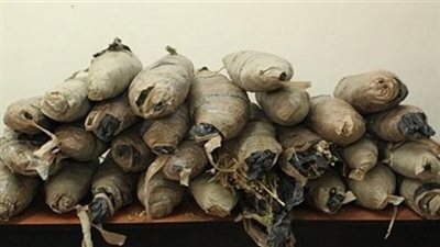 ضبط 79 لفافة بانجو بحوزة عاطل بمنوف