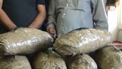 ضبط عاطل بحوزته كمية من البانجو بفايد