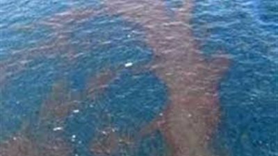 خطط «البيئة» لمكافحة حوادث التلوث ببقع الزيت.. مجهودات لمعرفة أسباب تكرارها.. 5 مراكز على نهر النيل للمواجهة.. رأس غارب الأكثر تضررا.. بصمة الزيت تكشف المتسبب.. وإجراءات قانونية رادعة للشركا