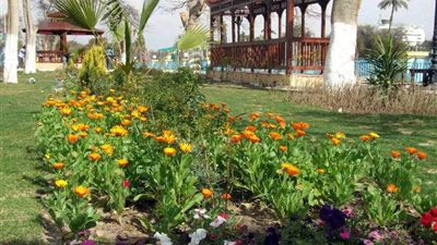 أطفال الإسماعيلية فى مهرجان الألوان بحدائق الممر .. اليوم