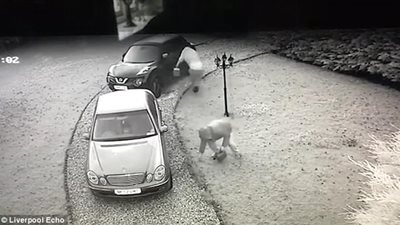 بالفيديو والصور.. النيران تلتهم رجلا حاول إشعال سيارة