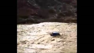 بالفيديو.. السيول تجرف «تويوتا راف فور» في الإمارات