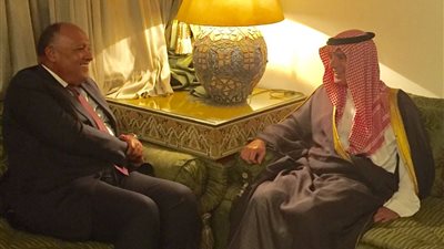 وزيرا خارجية مصر والسعودية يناقشان عددا من الملفات الإقليمية